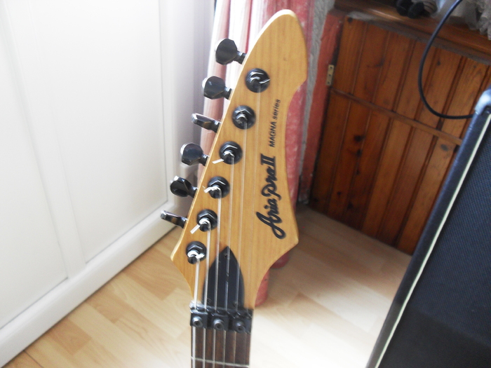 Aria PRO II Magna seriesMAB20 image (1011462) Audiofanzine