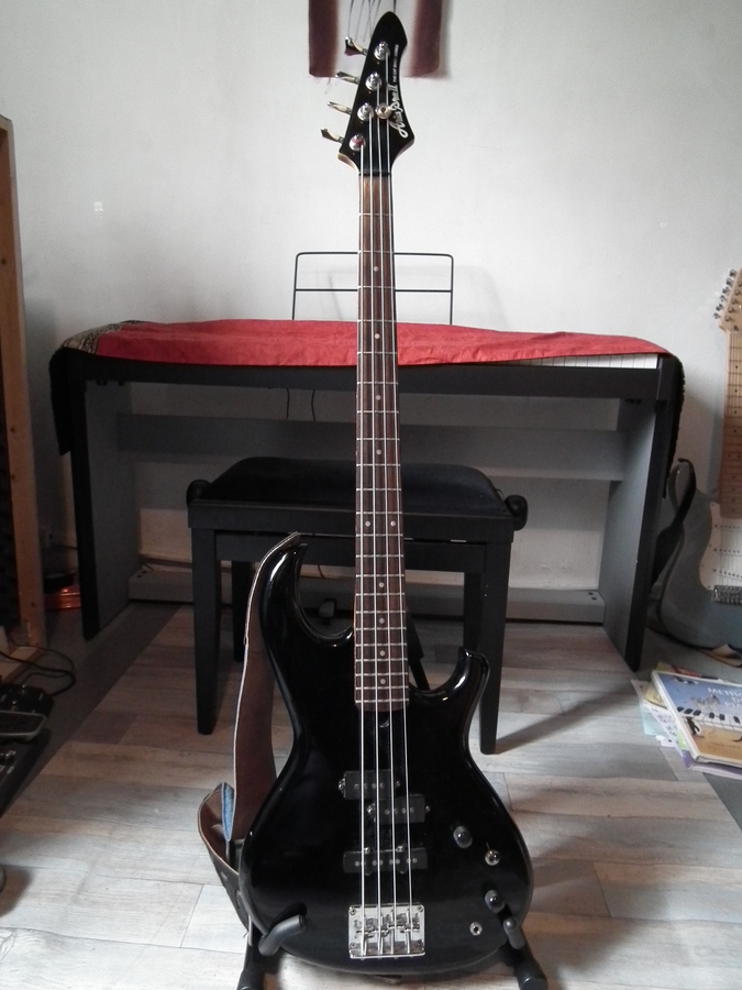 Aria Pro II the cat bass series image (844403) Audiofanzine
