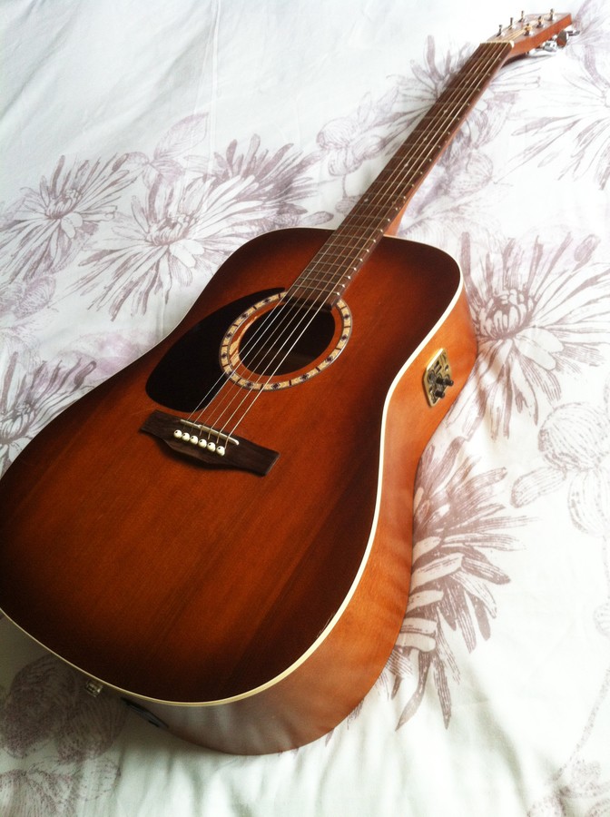 Art & Lutherie Cedar Antique Burst Left Quantum 1 (93714)