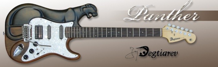 autres-guitares-electriques-solid-body-2191452.jpg