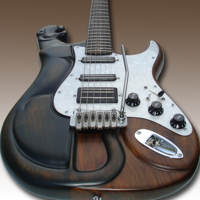 autres-guitares-electriques-solid-body-2191454.jpg