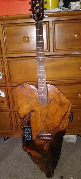 autres-guitares-electriques-solid-body-2219221.jpg