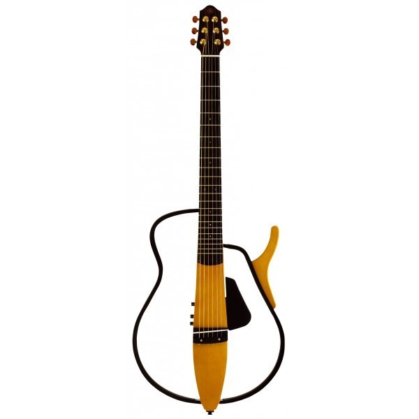 autres-guitares-electriques-solid-body-2481496.jpg