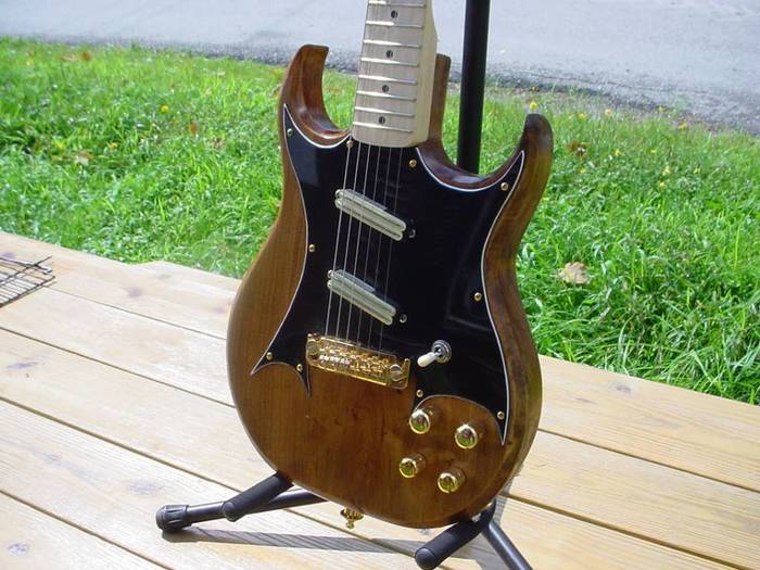 autres-guitares-electriques-solid-body-2722940.jpg