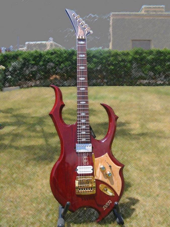 autres-guitares-electriques-solid-body-2765800.jpg