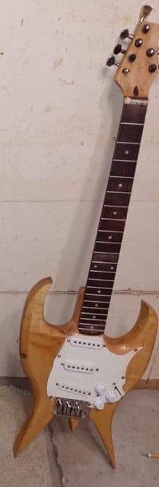 autres-guitares-electriques-solid-body-2911210.jpg