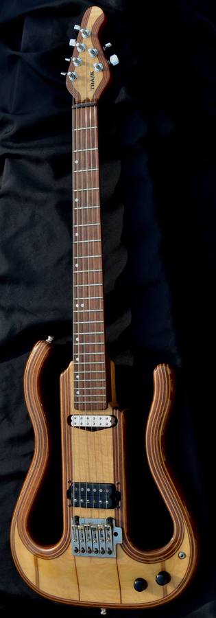 autres-guitares-electriques-solid-body-2918072.jpg