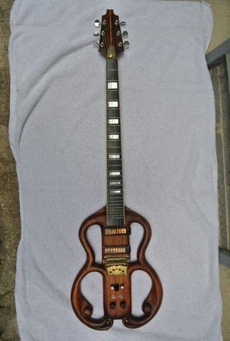 autres-guitares-electriques-solid-body-2983581.jpg