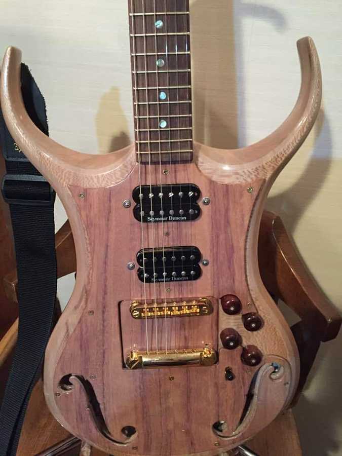 autres-guitares-electriques-solid-body-2999461.jpg