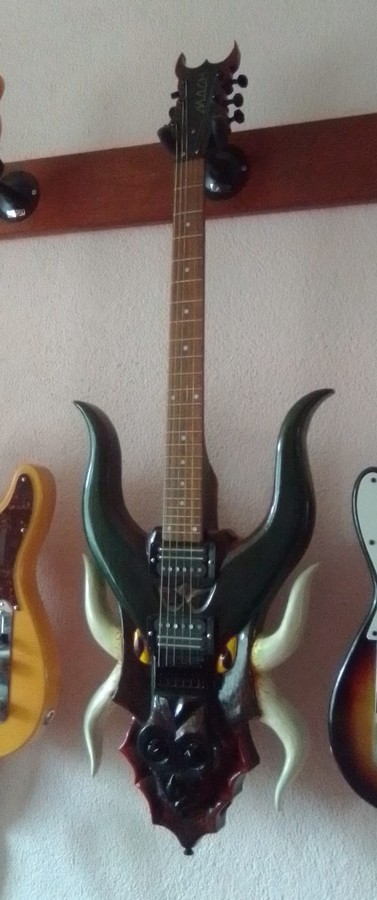 autres-guitares-electriques-solid-body-3127211.jpg