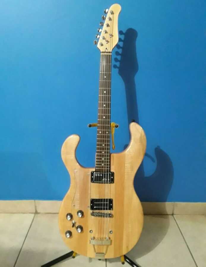 autres-guitares-electriques-solid-body-3875972.jpg