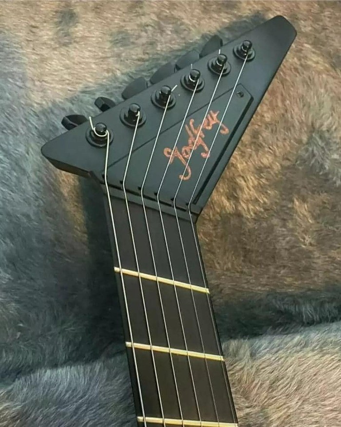 autres-guitares-electriques-solid-body-4009791.jpg