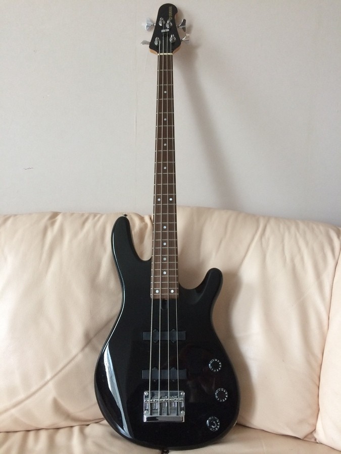 basses-2186832.jpg