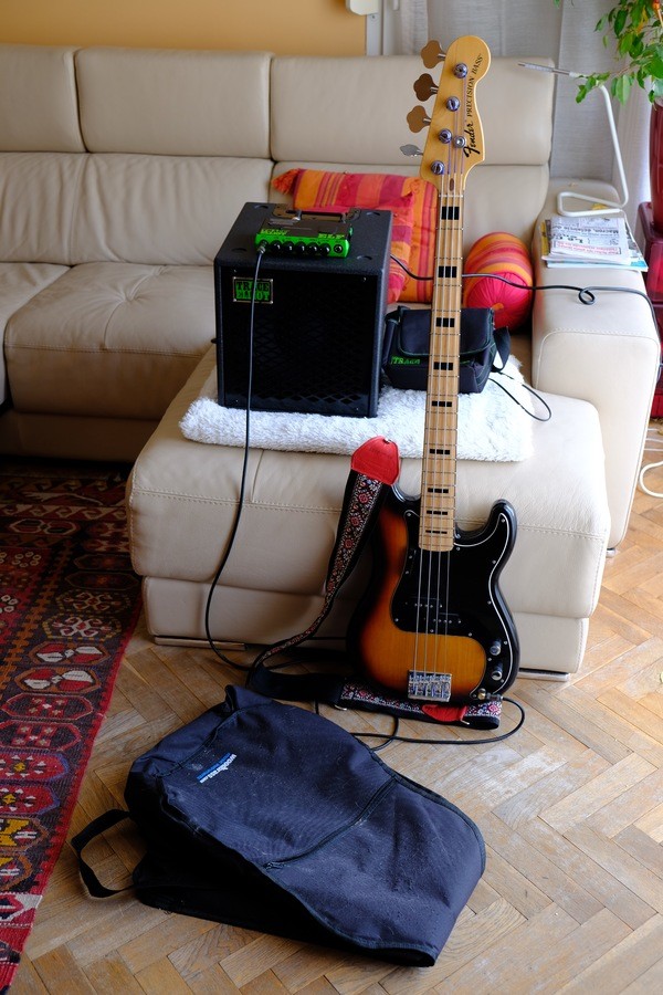 basses-2506288.jpg