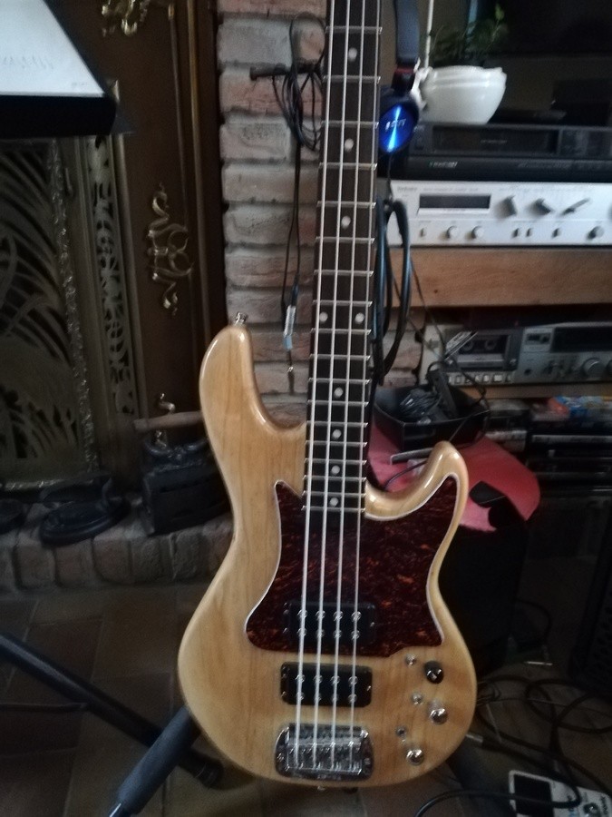 basses-2748892.jpg