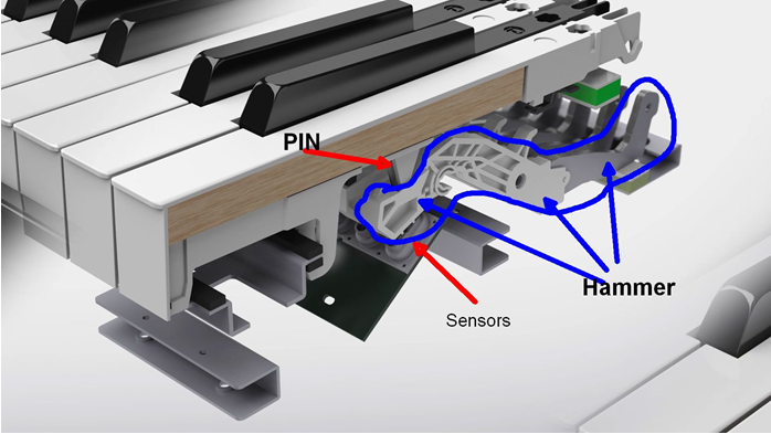 claviers-maitres-midi-88-touches-3772773.png