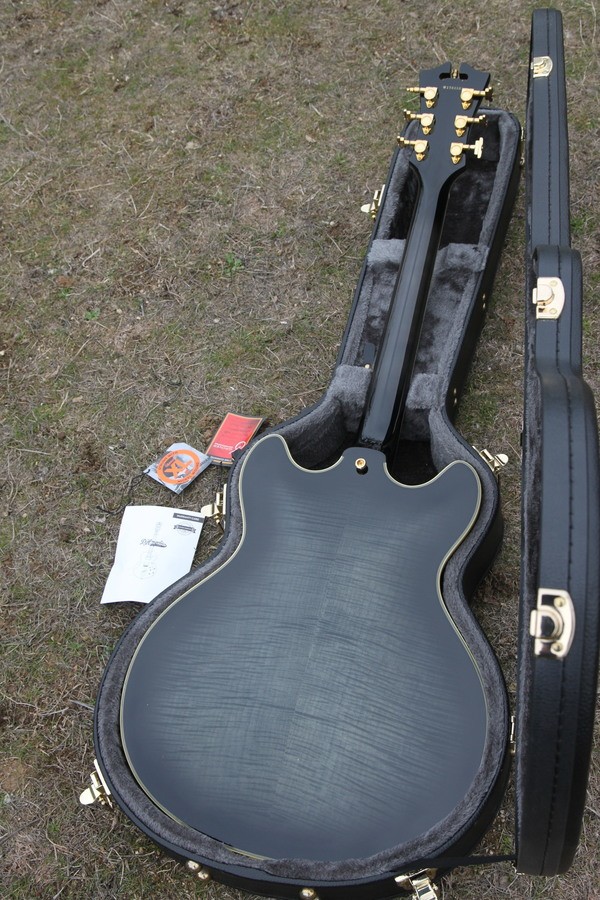 D'angelico Excel DC Shoreline (28875)