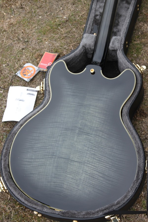 D'angelico Excel DC Shoreline (39880)