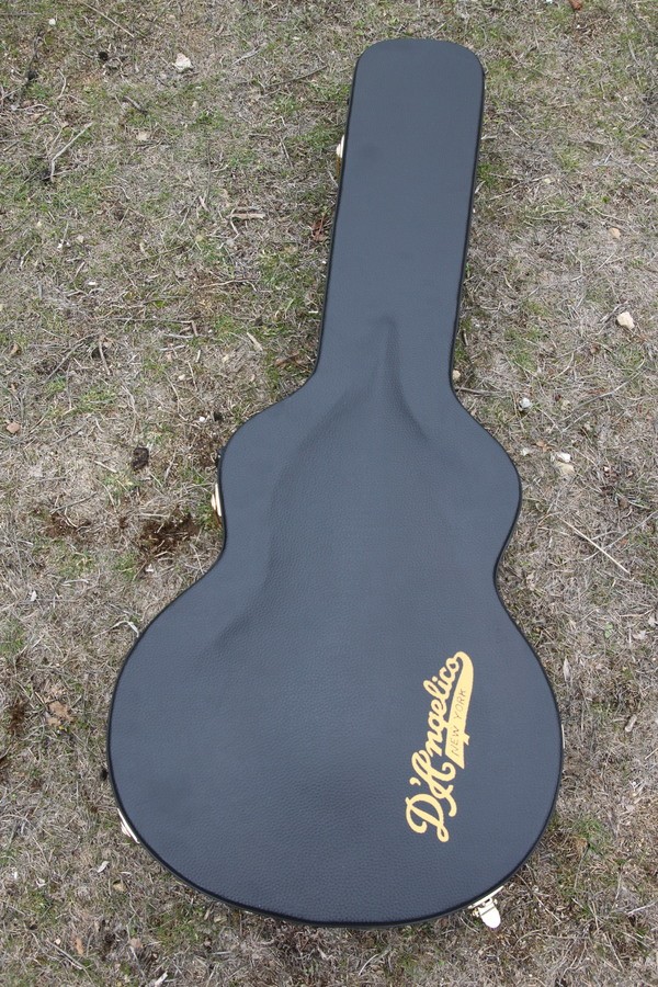D'angelico Excel DC Shoreline (91370)