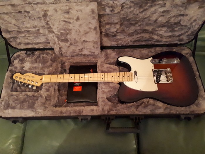 Fender Fender Am Pro Mn 3TS (53197)