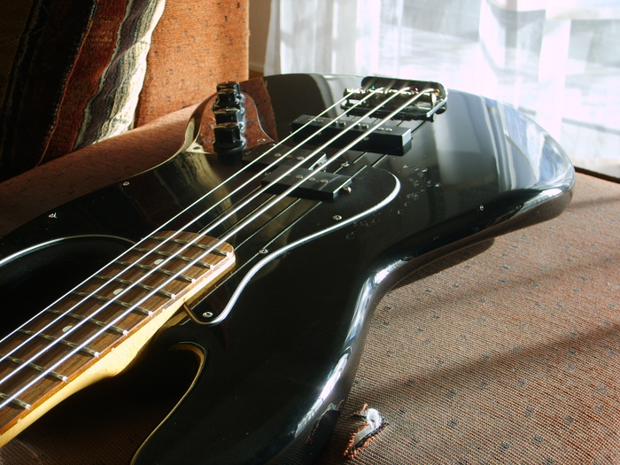 Photo Fender Reggie Hamilton Standard Jazz Bass Fender Reggie