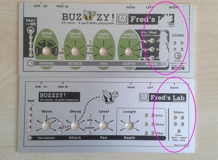 fred-s-lab-buzzzy-2681282.jpg