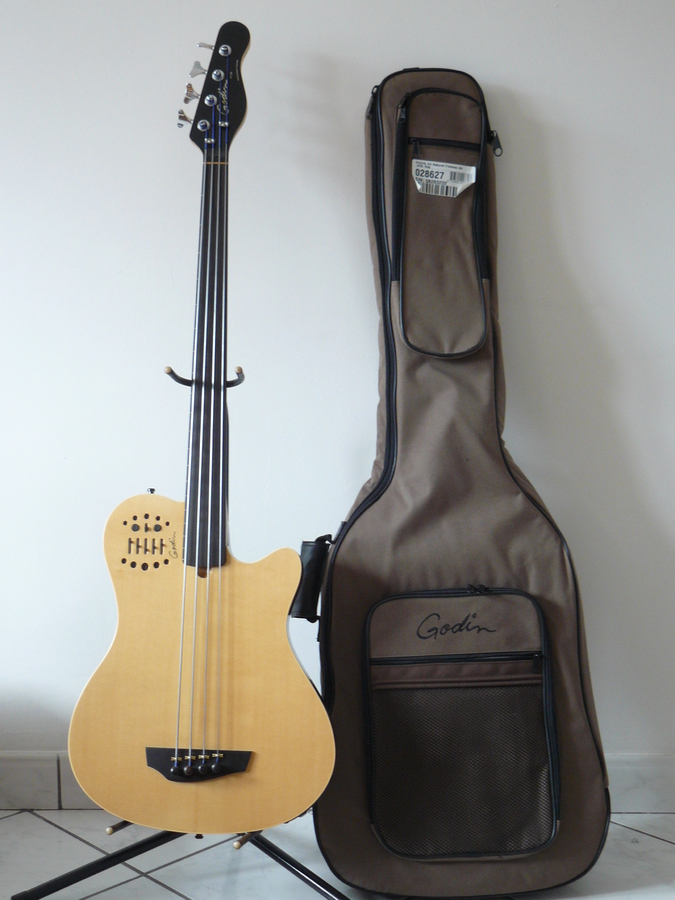 Godin A4 Fretless image (672116) Audiofanzine