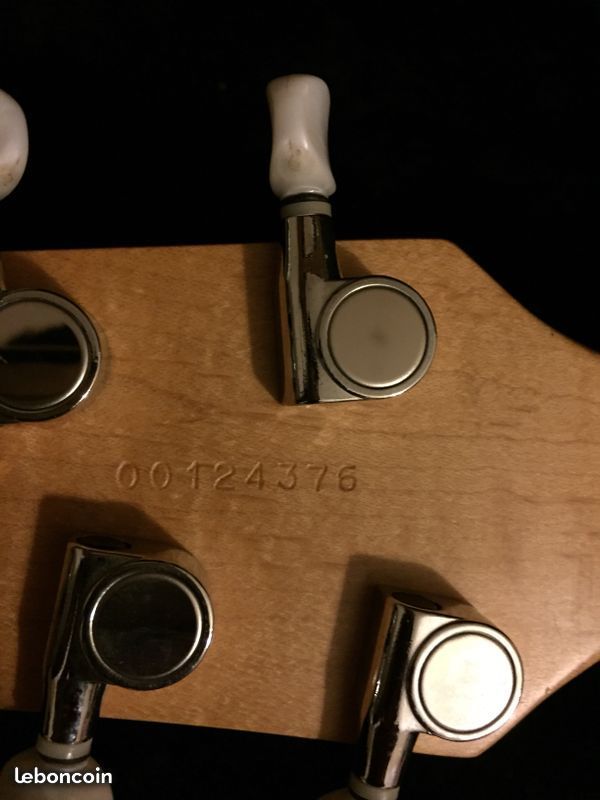 Godin Radiator image (2077129) Audiofanzine