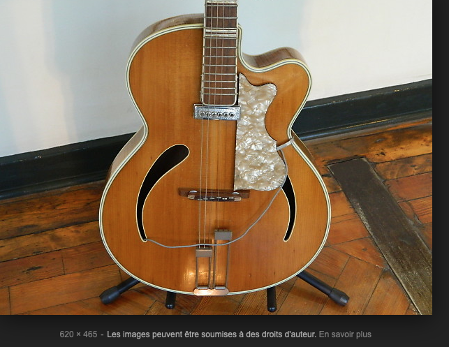 guitares-electriques-hollow-body-semi-hollow-body-2578149.png