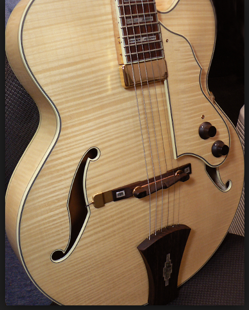 guitares-electriques-hollow-body-semi-hollow-body-2578157.png