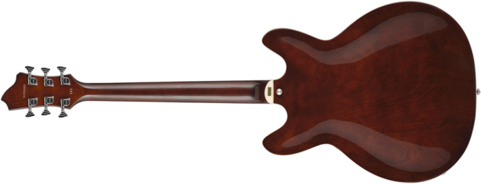 guitares-electriques-hollow-body-semi-hollow-body-2584805.png