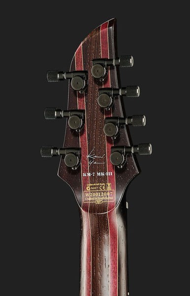guitares-electriques-solid-body-7-8-cordes-et-bariton-3281751.jpg