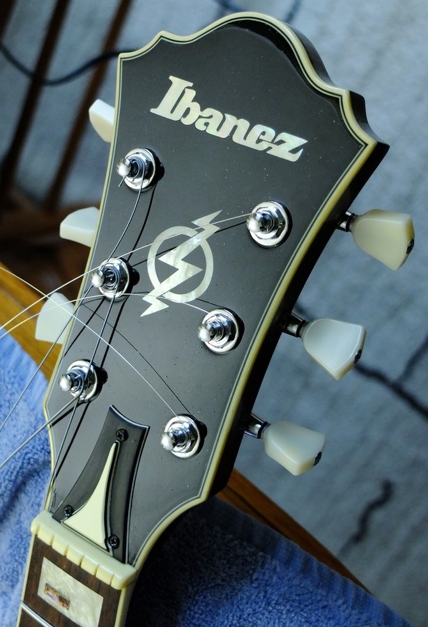 ibanez-2869919.jpg