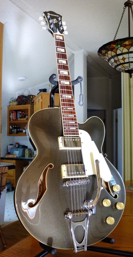 ibanez-2869937.jpg