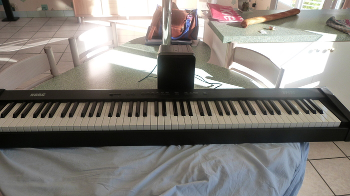 Photo Korg SP-100 : Korg SP-100 (994) (#669444) - Audiofanzine