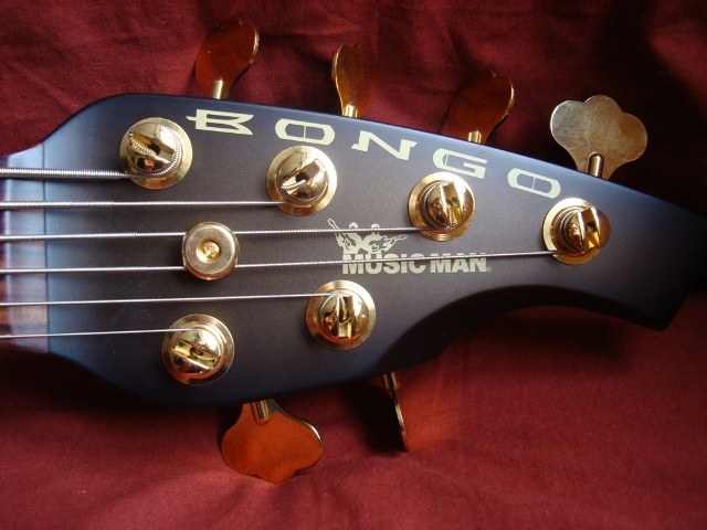 Photo Music Man Bongo 6 : MusicMan Bongo 6 Edition Limitée 2008 (#71195