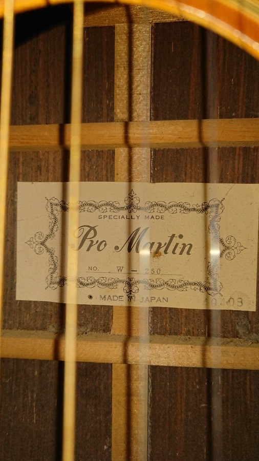 pro-martin-2353975.jpg