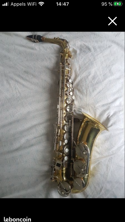 saxophones-2952181.png