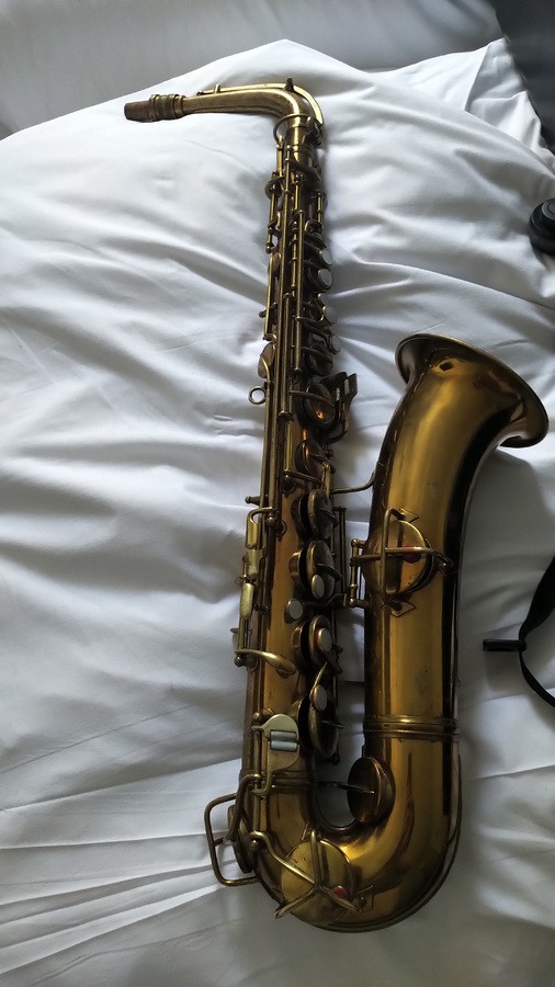 saxophones-3092393.jpg