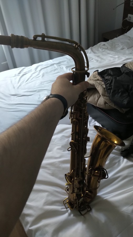 saxophones-3092394.jpg