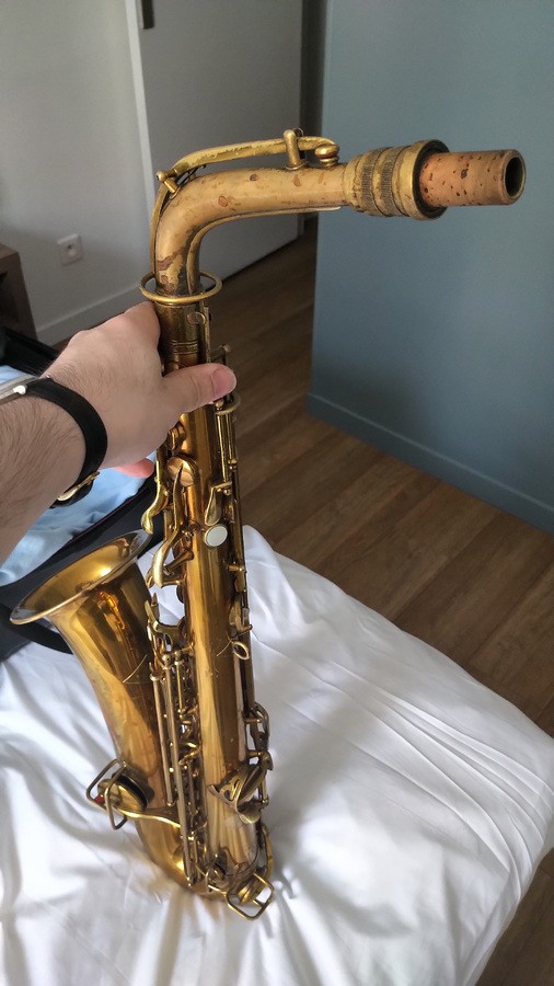 saxophones-3092399.jpg