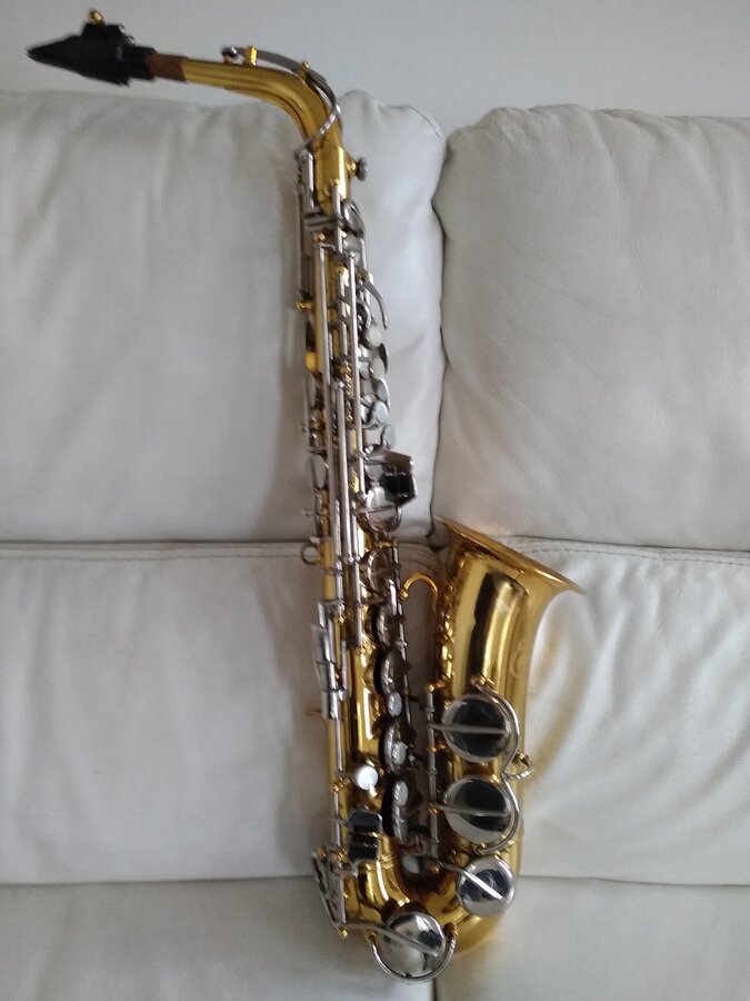 saxophones-3801452.jpg
