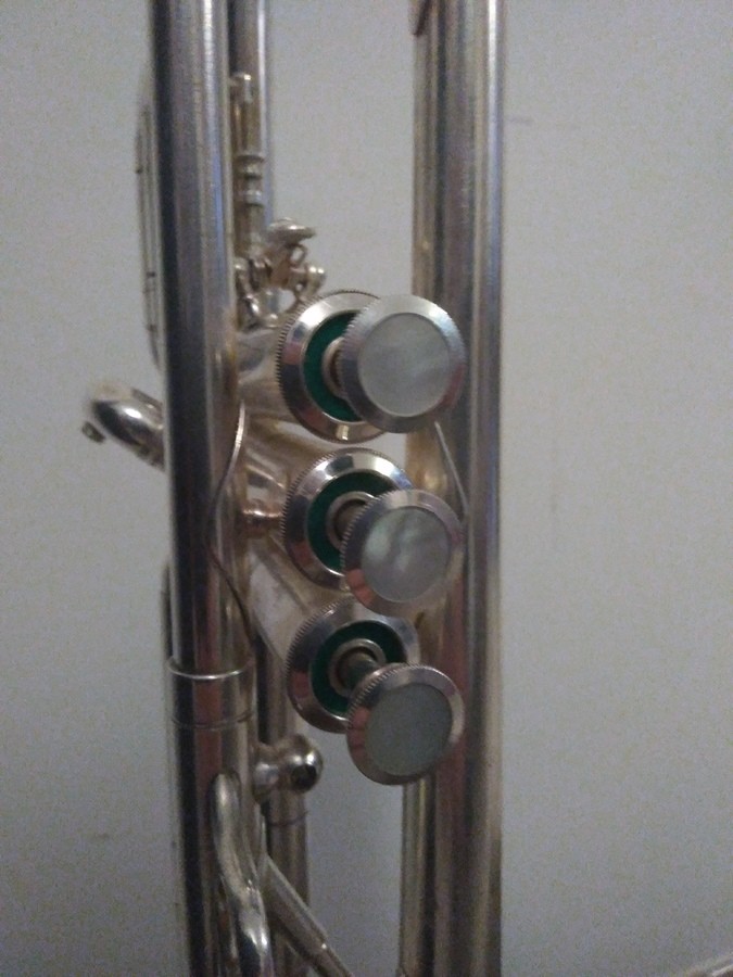 trompettes-2872650.jpg