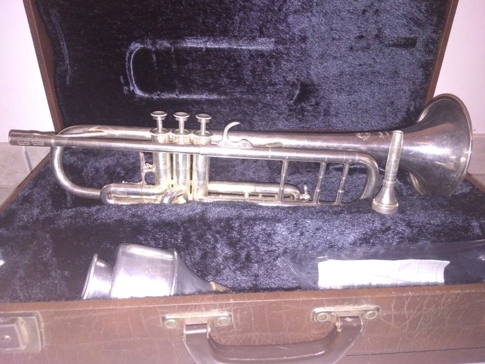 trompettes-2872652.jpg
