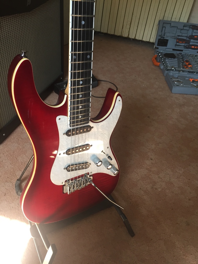 Photo Valley Arts Guitars samick IMG 3522.JPG (1886718) Audiofanzine