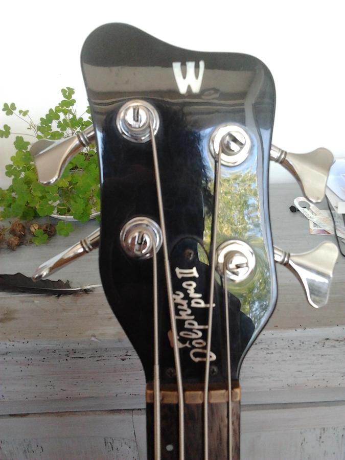 Warwick Dolphin Pro II image (259627) Audiofanzine