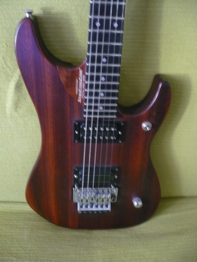 Washburn N4 Padouk ('90s) image (#606171) - Audiofanzine