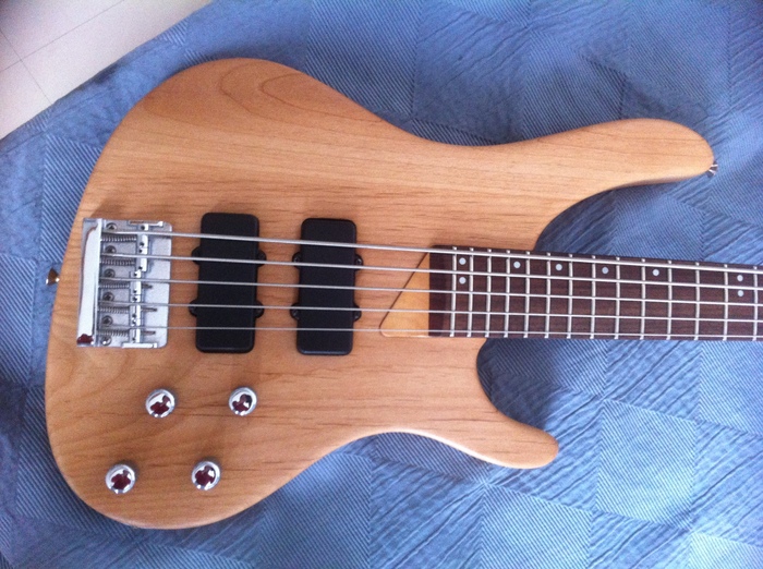 Washburn XB500 image (969409) Audiofanzine