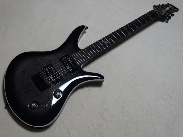 Wolf Guitars WE1 image (1100939) Audiofanzine