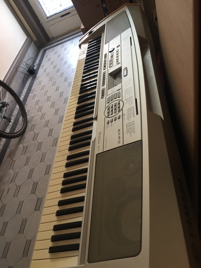 Yamaha DGX500 image (1988529) Audiofanzine